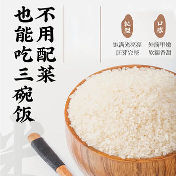 七河源越光米2.5kg 东北大米长粒米 5斤装双层包装 小长粒米 一级粳米 商品图0