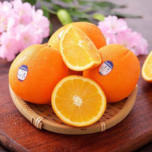 新奇士橙 橙子 商品图3