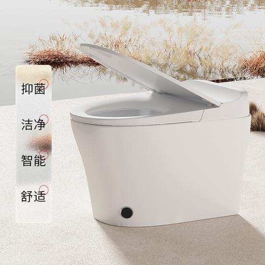 【门店款】帝王洁具M2智能马桶家用智能清洗虹吸抗菌座便器TA036 商品图4