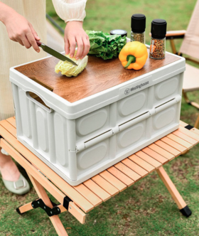 西屋Westinghouse收纳箱