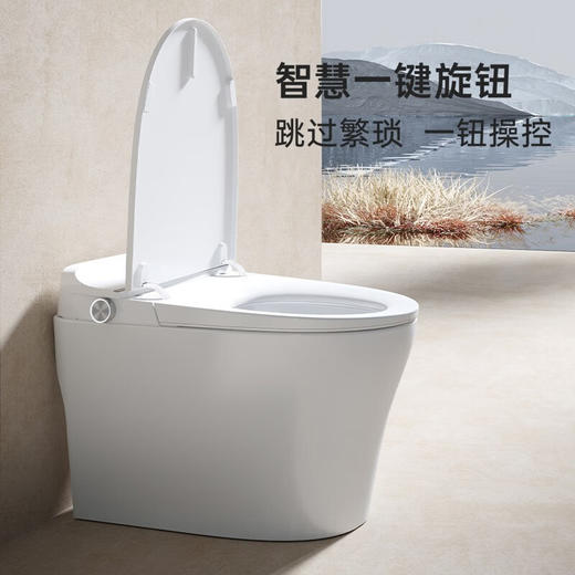 【门店款】帝王洁具M2智能马桶家用智能清洗虹吸抗菌座便器TA036 商品图1