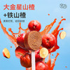 陈皮山楂条 山楂圈 果丹皮卷蜜饯 500g/箱小吃零食原味山楂棒棒糖独立包装 商品缩略图3