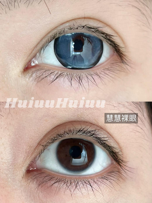 <半年抛大直径>Liliyacon-傲娇布偶蓝-14.5mm【半年抛 0-1000度 含525/575】 商品图2