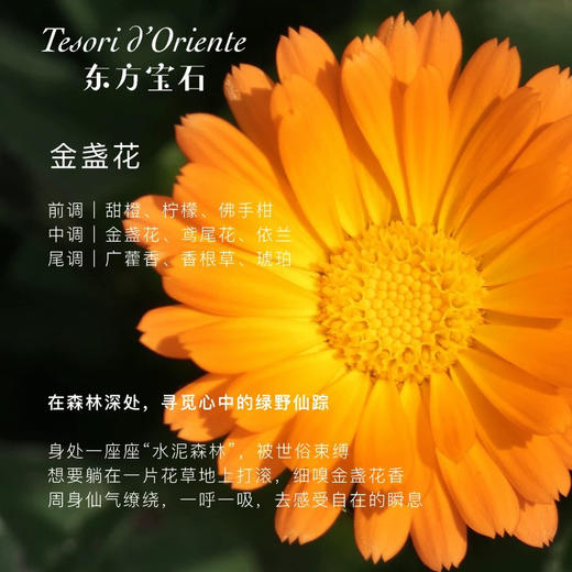 东方宝石 萃润沐浴乳 500ml 商品图3