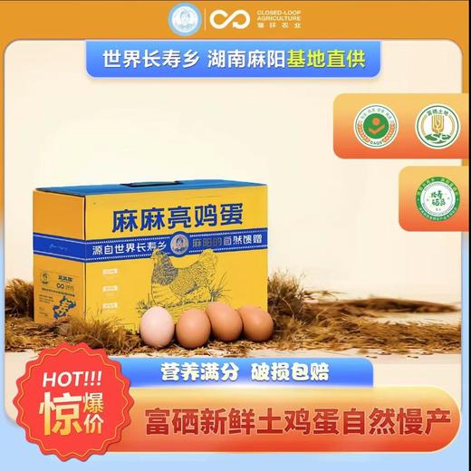 麻麻亮鸡蛋 50枚装【LFH】 商品图0