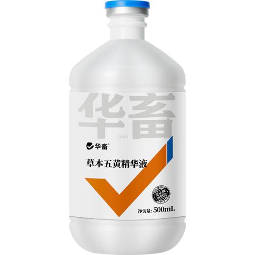 华畜草本五黄精华液500ml 纯中药浓缩液抗菌消炎 保肝利胆提高抵抗力 商品图5