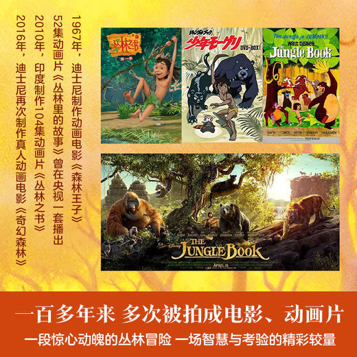 2025年百班千人暑期书目四年级 丛林故事集 名师推荐正版现货 商品图3