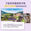 Sambucol善倍康 黑接骨木莓风味糖浆 清新酸甜 120ml/瓶 商品缩略图3