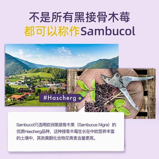 Sambucol善倍康 黑接骨木莓风味糖浆 清新酸甜 120ml/瓶 商品图3
