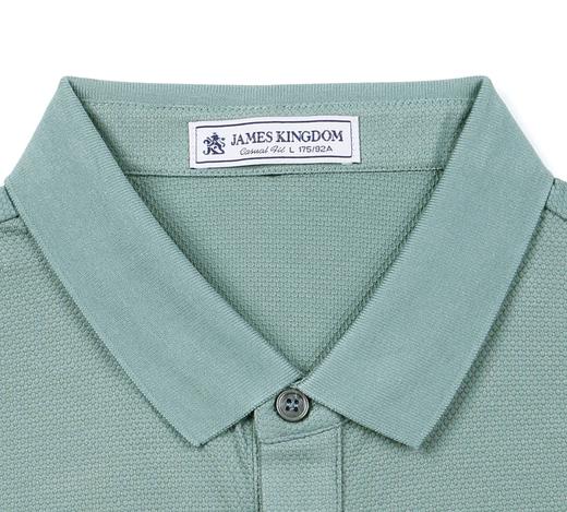 占姆士男士休闲翻领棉质短袖POLO衫  蓝色&绿色&紫色 商品图4