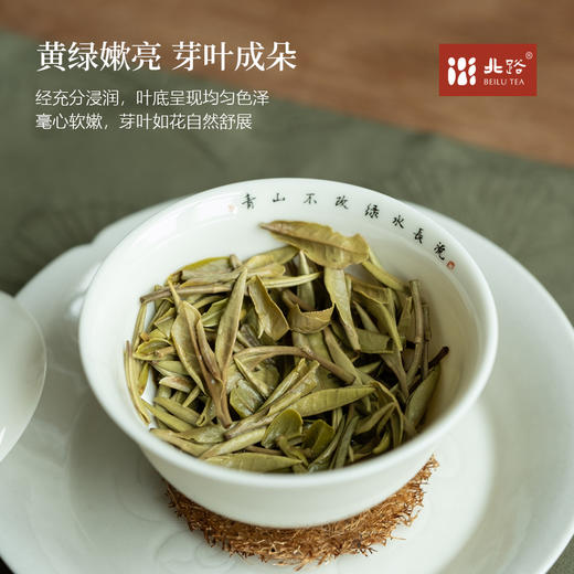花香白牡丹 福鼎白茶白牡丹2025年清明茶高山花香100g 商品图3