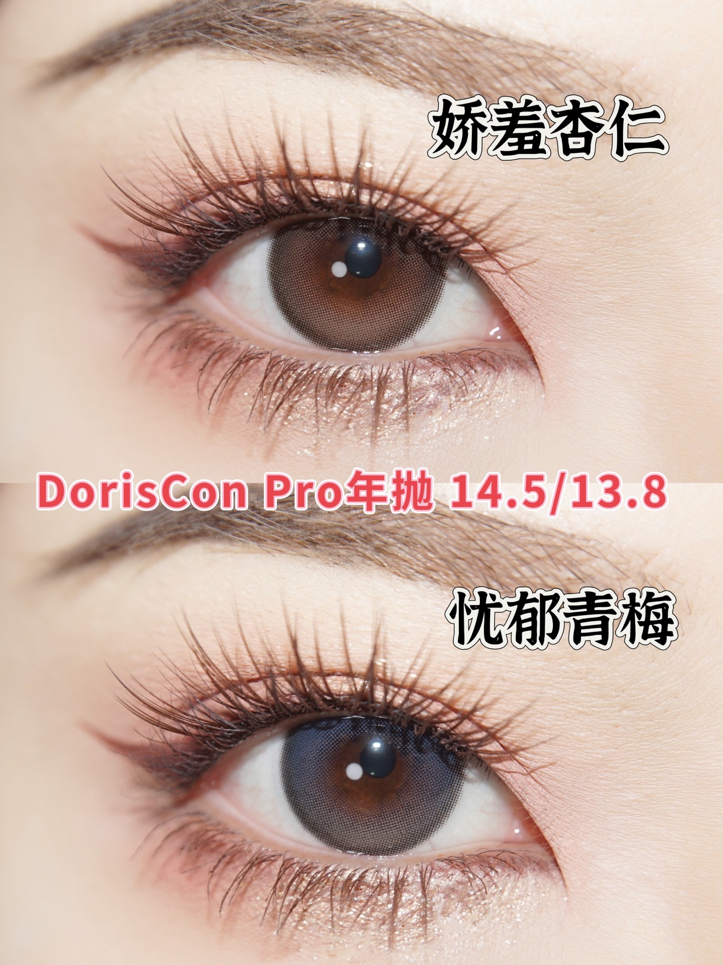 doriscon pro+ 娇羞杏仁 棕/忧郁青梅 蓝 14.5mm 年抛  含硅水凝胶