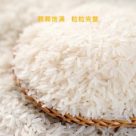 恩施硒米 5kg【WHGS】 商品图3