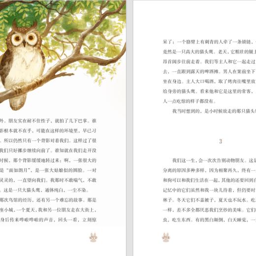 2025年百班千人暑期书目六年级   狐狸，半蹲半走  名师推荐正版现货 商品图1