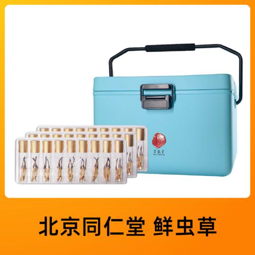 北京同仁堂 鲜虫草  0.8-1.0/根 ，81根 商品图0