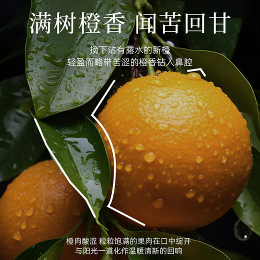 【辣妈学院专属】真不二苦橙精油蒸汽眼罩7片/盒*3盒赠玫瑰足贴5对/盒*1盒 商品图1