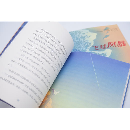 2025年百班千人暑期书目三年级 飞越风暴  名师推荐正版现货 商品图1