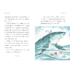 2025年百班千人暑期书目三年级 骑着鲸鱼向北游 名师推荐正版现货 商品缩略图3