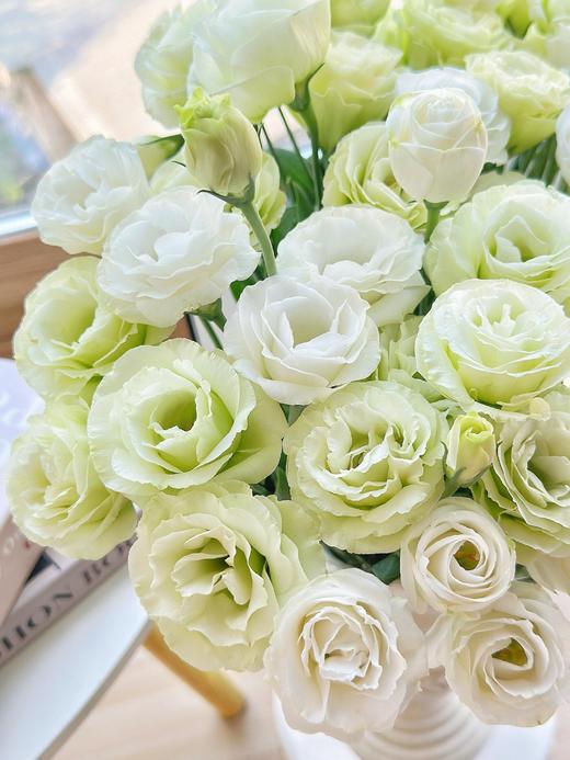 【随机色洋桔梗】1扎600-800g（约30-40朵）/份  品种随机 商品图4