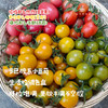 【预售，7月2日发】生态彩色小番茄（基地直发-顺丰包邮）| 来自四川成都，沙瓤多汁，番茄味儿足，生产者：胡雪梅【合作生产，公平贸易】 商品缩略图1