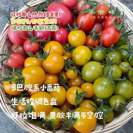 【预售，7月2日发】生态彩色小番茄（基地直发-顺丰包邮）| 来自四川成都，沙瓤多汁，番茄味儿足，生产者：胡雪梅【合作生产，公平贸易】 商品图1