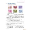 图说高中生物学 商品缩略图3