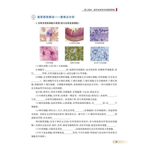 图说高中生物学 商品图3