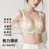 D2-【B-D杯】【大胸显小 韧性软钢圈】润微杯垫厚度0.3cm 侧翼12.5收副乳 性感蕾丝聚拢薄杯收副乳调整文胸   绮梦娇韵/蓝花笔韵 商品缩略图1