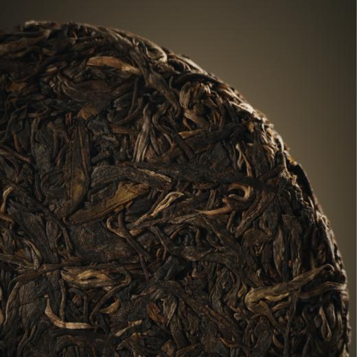 磨烈古树 双江勐库磨烈古树茶2024 春生普 仅280饼 商品图10