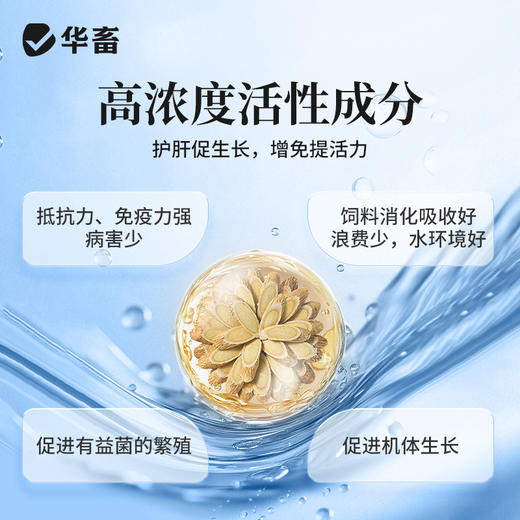 华畜免疫多糖水产养殖鱼虾蟹保肝护胆提免疫力抗应激提食欲促生长 商品图4