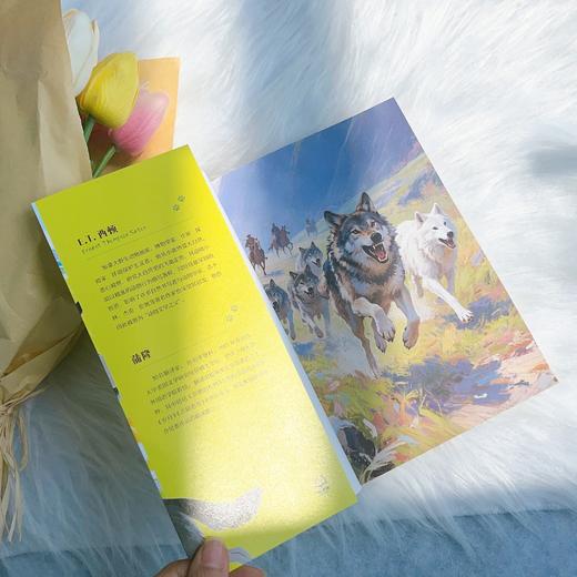 2025年百班千人暑期书目五年级 狼王洛波  名师推荐正版现货 商品图3