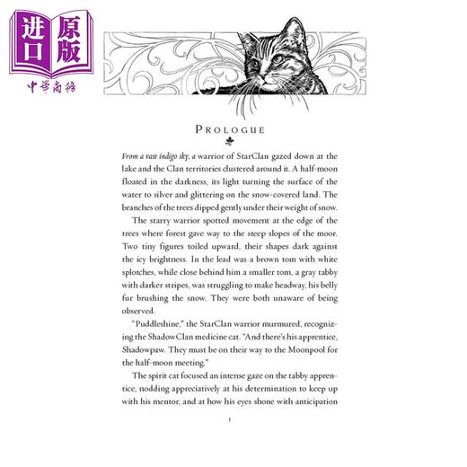 【中商原版】猫武士七部曲破灭守则6册 赠音频 560~850L Warriors The Broken Code英文原版 传奇的猫族成长励志 儿童文学桥梁章节书小说 商品图2