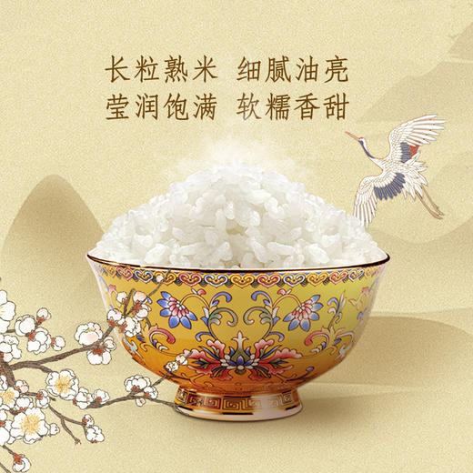金龙鱼乳玉皇妃稻香贡米5kg 商品图4