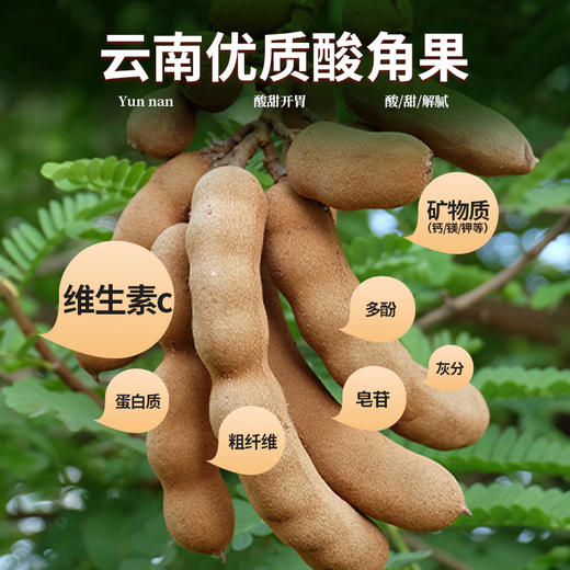 【猫哆哩厨房系列】壹罐酸角调料汁 商品图5