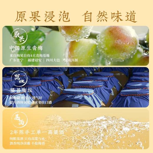 12°江小白梅见青梅酒    330ml/瓶 商品图2