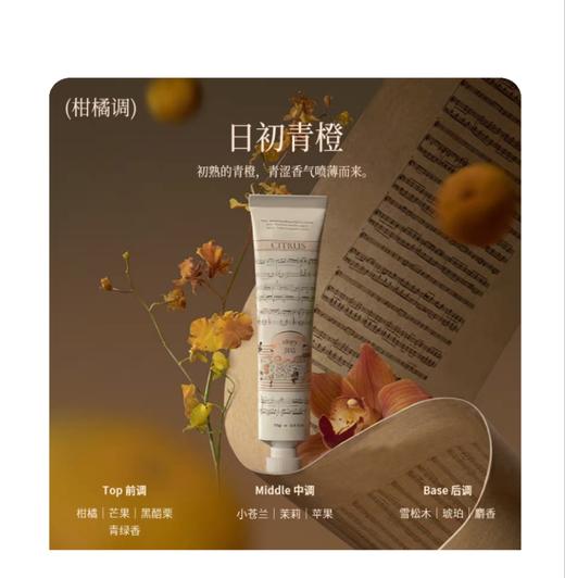 润培馥奇香氛植物精粹护手霜乐境系列75g【宝库优选】 商品图0