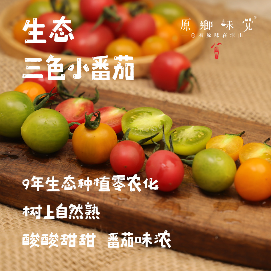 【预售，7月2日发】生态彩色小番茄（基地直发-顺丰包邮）| 来自四川成都，沙瓤多汁，番茄味儿足，生产者：胡雪梅【合作生产，公平贸易】