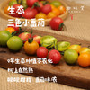 【预售，7月2日发】生态彩色小番茄（基地直发-顺丰包邮）| 来自四川成都，沙瓤多汁，番茄味儿足，生产者：胡雪梅【合作生产，公平贸易】 商品缩略图0