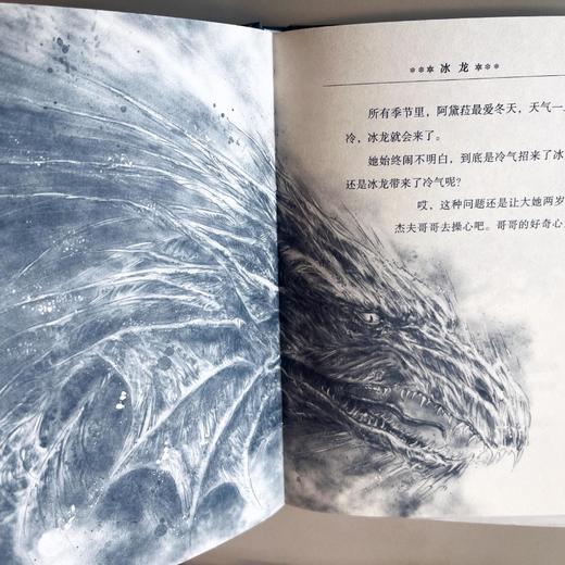 2025年百班千人暑期书目三年级 冰龙  名师推荐正版现货 商品图1