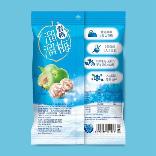 溜溜梅雪梅 青梅零食80g/包 商品图1