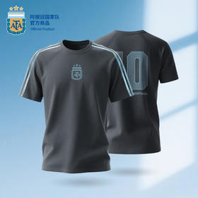 【官方正版】阿根廷国家队 | 2025新款蓝灰梅西印号T恤透气舒适短袖