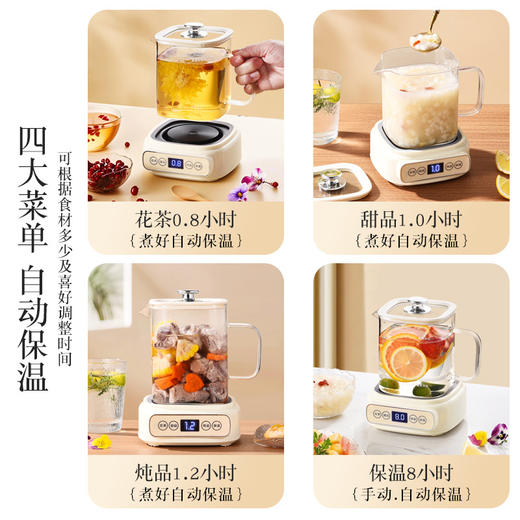 【一壶多用，养生新宠🍵】0异味安心煮茶，多功能花茶壶养生壶，玻璃通透可视✨甜品、花茶、炖品全搞定！🔥秒速升温，煮好自动保温，健康生活从这一壶开始！ 商品图0