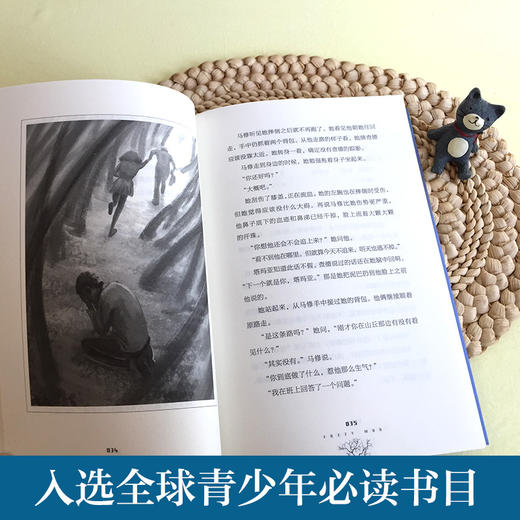 2025年百班千人暑期书目五年级 烂泥怪  名师推荐正版现货 商品图2