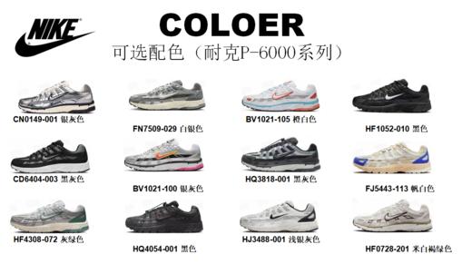 甄选 | 耐克P-6000系列FN7509 商品图2