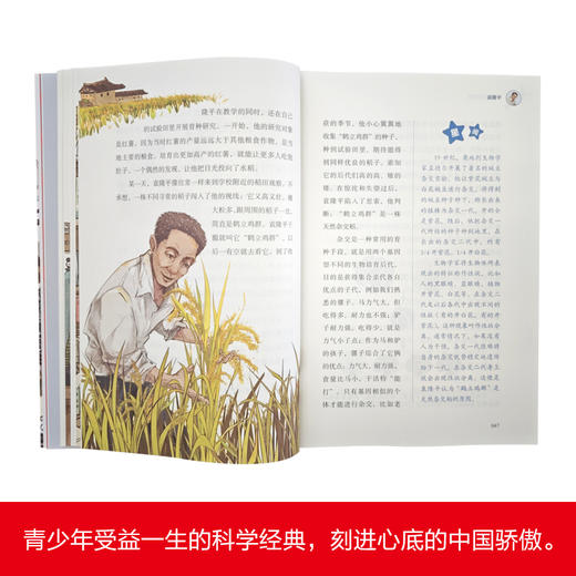 2025年百班千人暑期书目四年级 少年当追中国星 名师推荐正版现货 商品图2