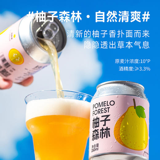 斑马精酿山楂/柚子/百香果/海盐荔枝/金桔血橙/茉莉青柠/柠檬沙瓦啤酒250ml*24罐 商品图1