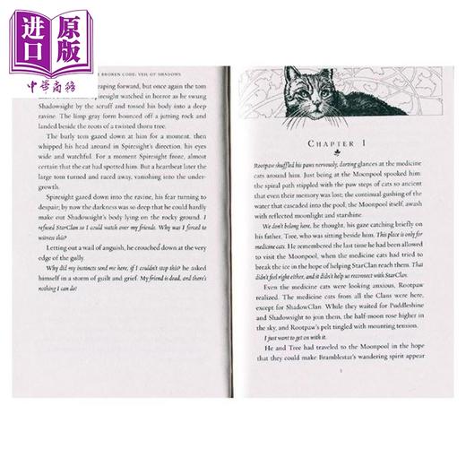 【中商原版】猫武士七部曲破灭守则6册 赠音频 560~850L Warriors The Broken Code英文原版 传奇的猫族成长励志 儿童文学桥梁章节书小说 商品图3