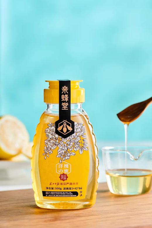 【武汉.新洲】江城百臻亲蜂堂洋槐蜂蜜500g（挤压瓶） 商品图1