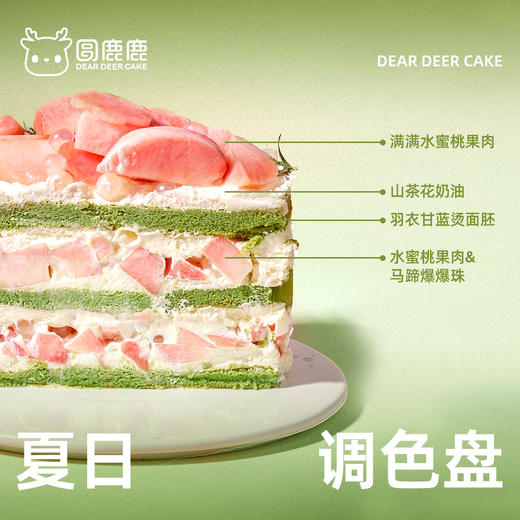 夏日调色盘 商品图1