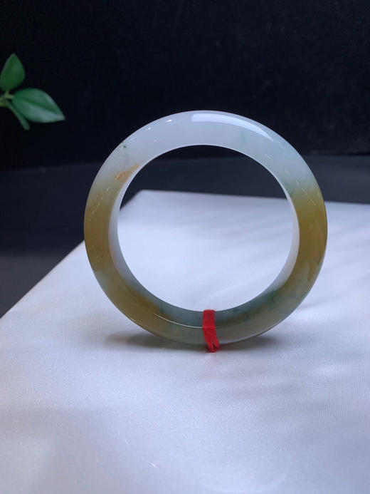 620255，54.8 特色冰黄手镯、大半圈带黄翡，冰润干净，油油的，有特色 商品图5